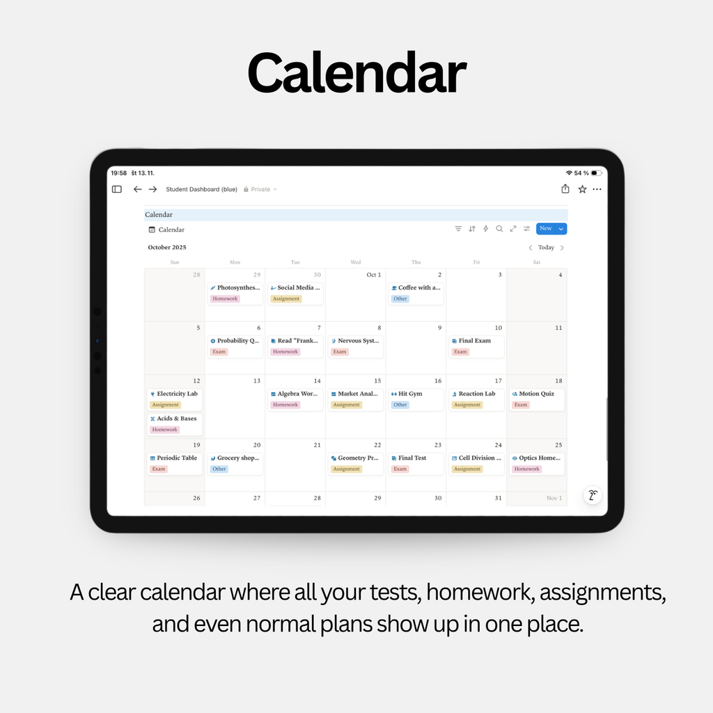 Student Dashboard - Calm Blue