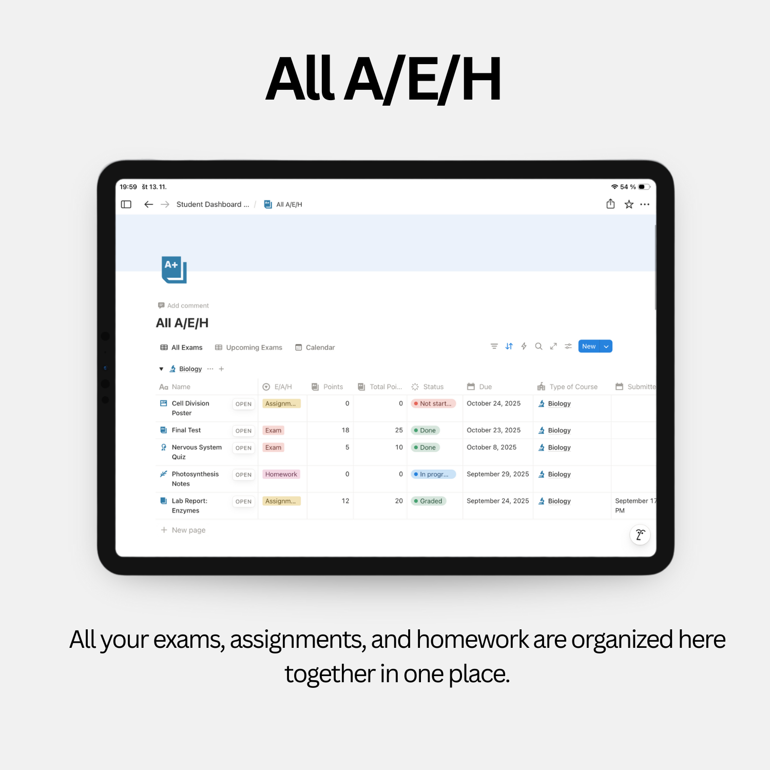 Student Dashboard - Calm Blue