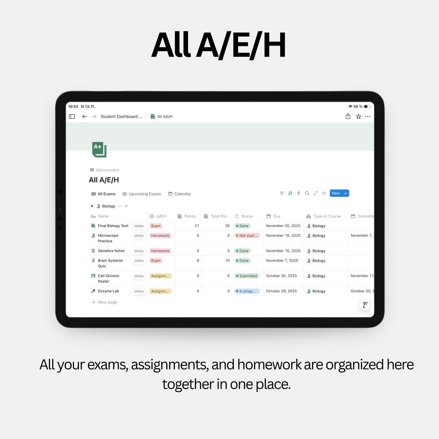 Student Dashboard - Fresh Green