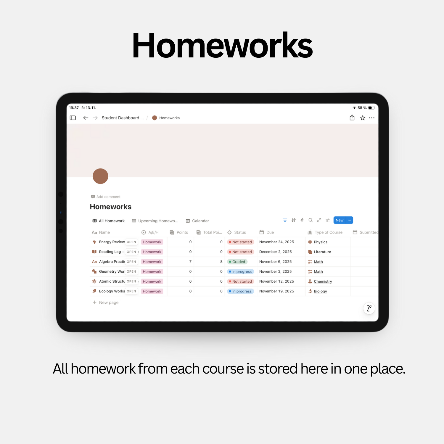 Student Dashboard - Soft Pink