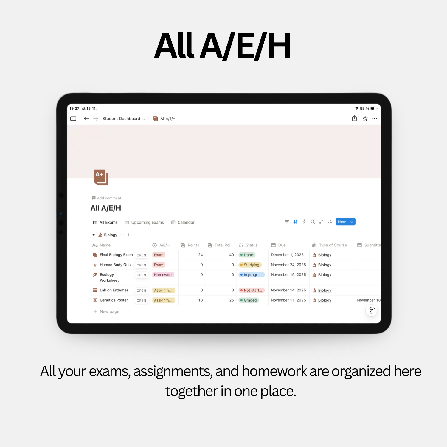 Student Dashboard - Soft Pink